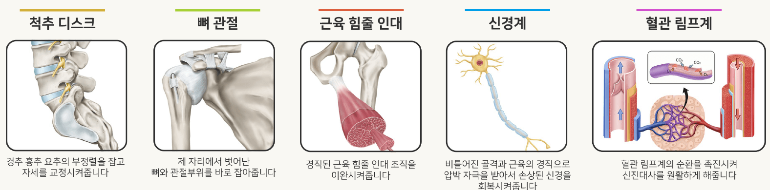 /images/02-korean-medicine/image25.png 추나치료의 효능 부위별 안내